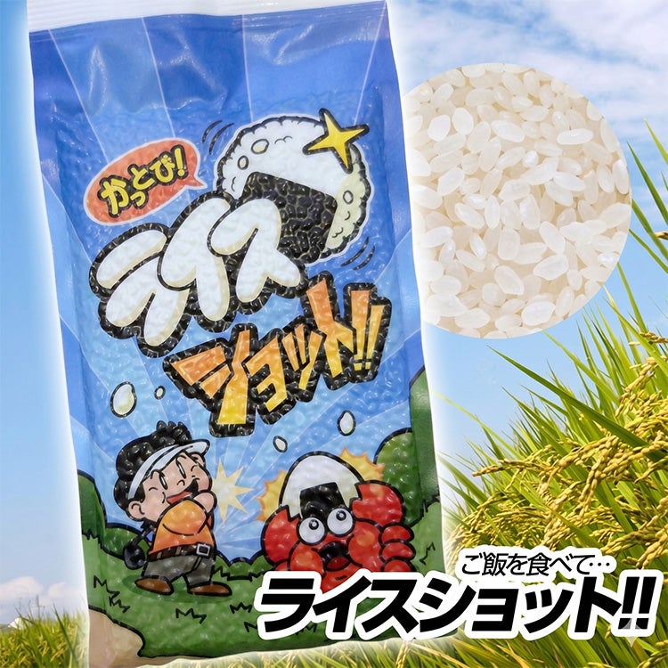 ライスショット お米の真空パック2