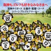 阪神タイガース #69 石井大智 ゴルフマーカー カジノマーカー リバーシブル 2026年3