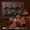 恐竜チョコレート ジュラシックショコララ ポップアップ4