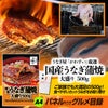 パネル付き目録 かわすい 国産うなぎ蒲焼 大盛500g （A36） スプーングルメ3