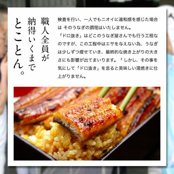 パネル付き目録 かわすい 国産うなぎ蒲焼 大盛500g （A36） スプーングルメ9