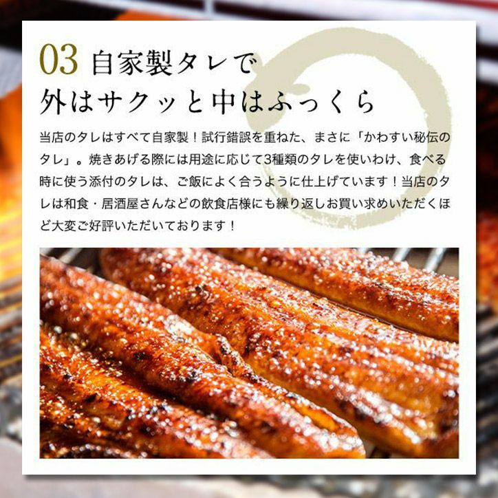パネル付き目録 かわすい 国産うなぎ蒲焼 大盛500g （A36） スプーングルメ10