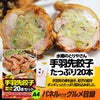 パネル付き目録 水郷のとりやさん 手羽先餃子20本 （A40） スプーングルメ2