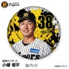 阪神タイガース #38 小幡竜平 缶バッジ（顔デザイン） 2026年1