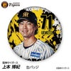 阪神タイガース #71 上本博紀 打撃コーチ 缶バッジ（顔デザイン） 2026年1
