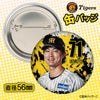 阪神タイガース #71 上本博紀 打撃コーチ 缶バッジ（顔デザイン） 2026年2