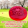 期間限定 TRONゴルフマーカー さくら レッド 40mm3