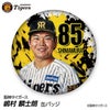 阪神タイガース #85 嶋村麟士朗 缶バッジ（顔デザイン） 2026年 支配下登録1