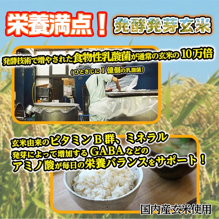 発酵発芽玄米 300g 乳酸菌 ディエイアイコーポレーション2