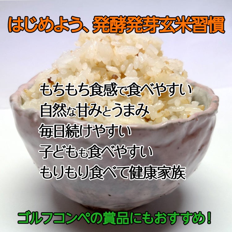発酵発芽玄米 300g 乳酸菌 ディエイアイコーポレーション4
