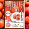 紀州南高梅 とまと梅 500g お徳用サイズ2